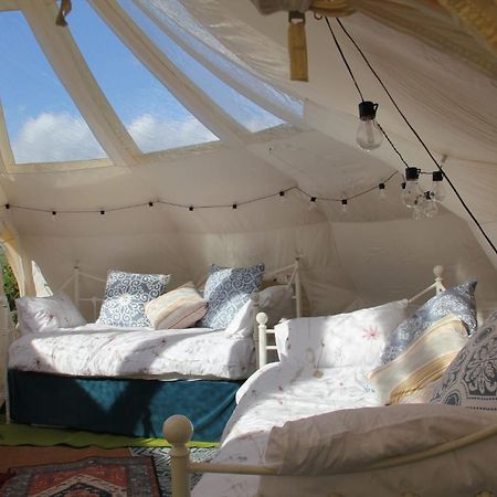 Tal-Y-Fan Farm 6M Stargazer Tent بريدجيند المظهر الخارجي الصورة